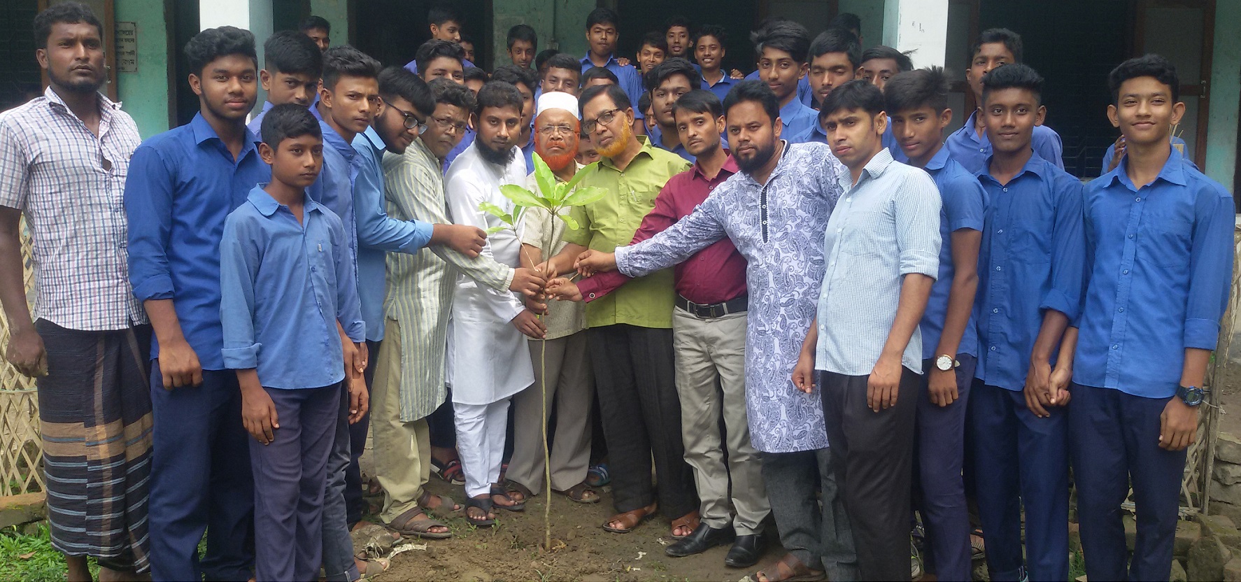 নড়াইলে বিভিন্ন শিক্ষাপ্রতিষ্ঠানে বৃক্ষরোপণ কর্মসূচি পালিত