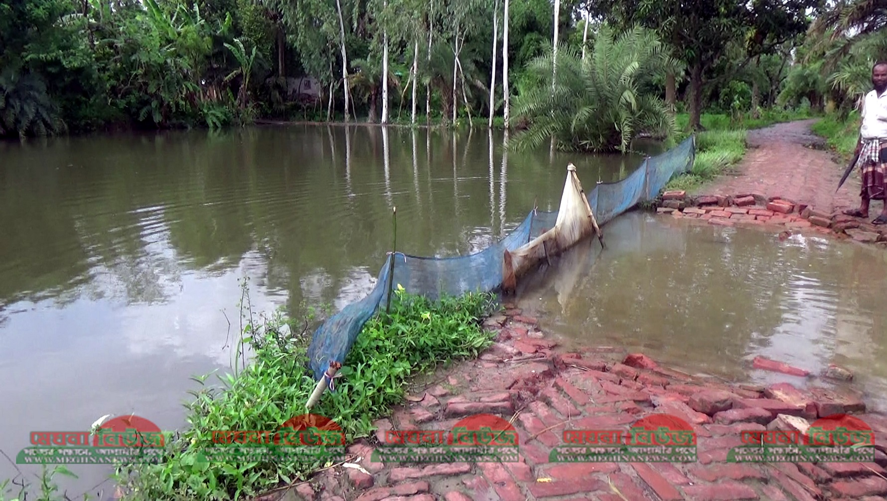 নওগাঁর রাণিনগর উপজেলার কাটরাশইন গ্রামের বন্যায় ক্ষতিগ্রস্থ হওয়া একটি পুকুর