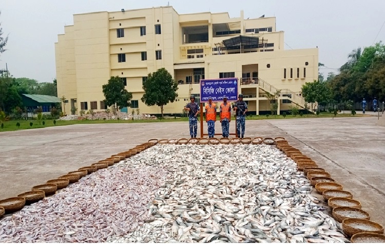 ভোলায় দুটি ট্রলারসহ ১৩৮ মণ মাছ জব্দ