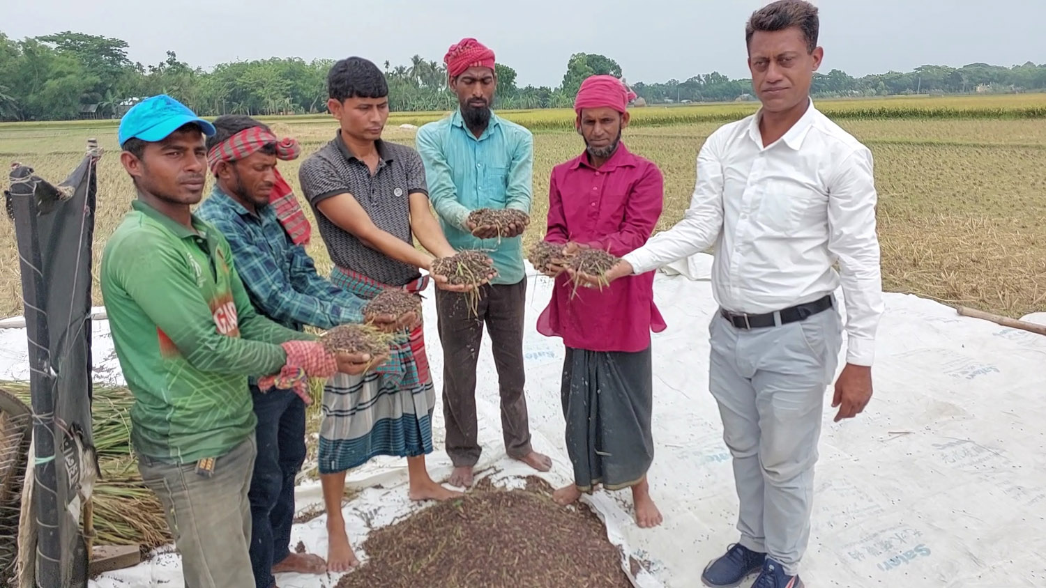 পুষ্টিগুণ সমৃদ্ধ ব্ল্যাক রাইস চাষে সফল শেখ সাদী