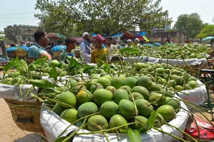 চাঁপাইনবাবগঞ্জের আম বাজারে অন্য জেলার আম, ঠকছেন ভোক্তারা