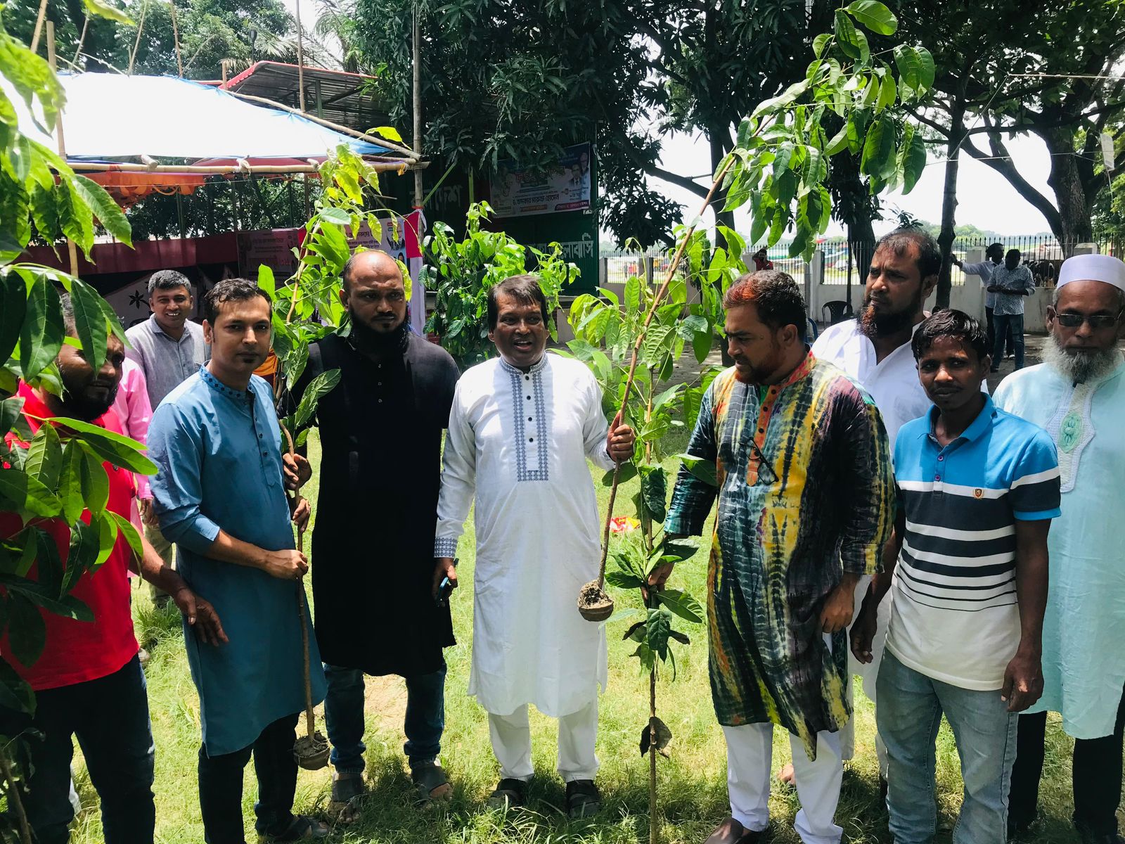 দাউদকান্দি কৃষকদলের বৃক্ষ রোপন কর্মসূচি
