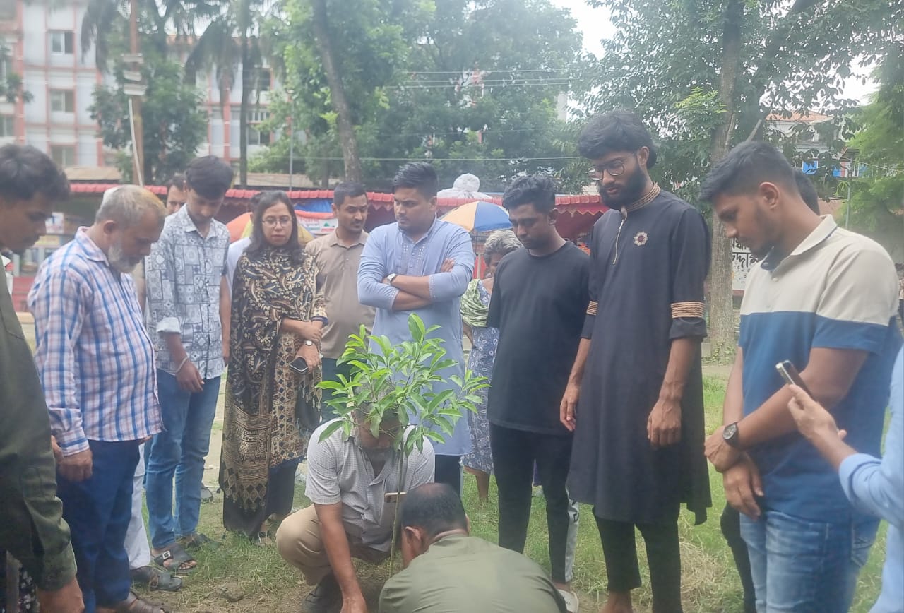 দাউদকান্দিতে জুলাই শহীদদের স্মরণে বৃক্ষরোপন