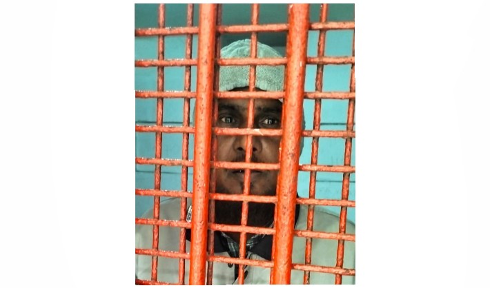 দাউদকান্দিতে ফুলগাছ বিক্রেতাকে আ.লীগ ট্যাগ দিয়ে গ্রেপ্তারে নিন্দার ঝড়