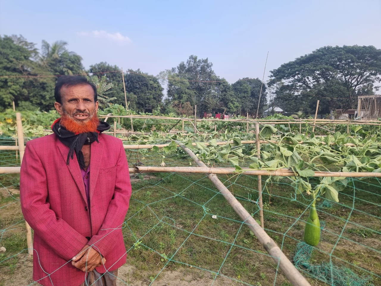 লাউচাষী খোকনের লাউবাগান কেটে দিলো দুর্বৃত্তরা, ভেঙ্গে গেল স্বপ্ন