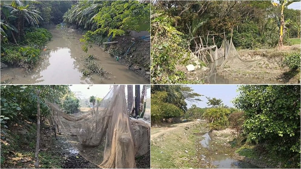 মরে যাচ্ছে তালতলীর খালগুলো: ৭১ জলপথ হারিয়ে কৃষকের দীর্ঘশ্বাস