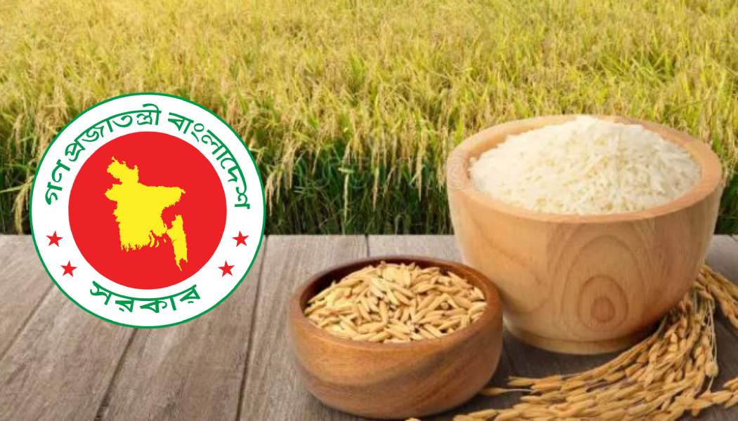 বোরো মৌসুমে ধান-চালের নতুন দর ঘোষণা, কবে শুরু সংগ্রহ