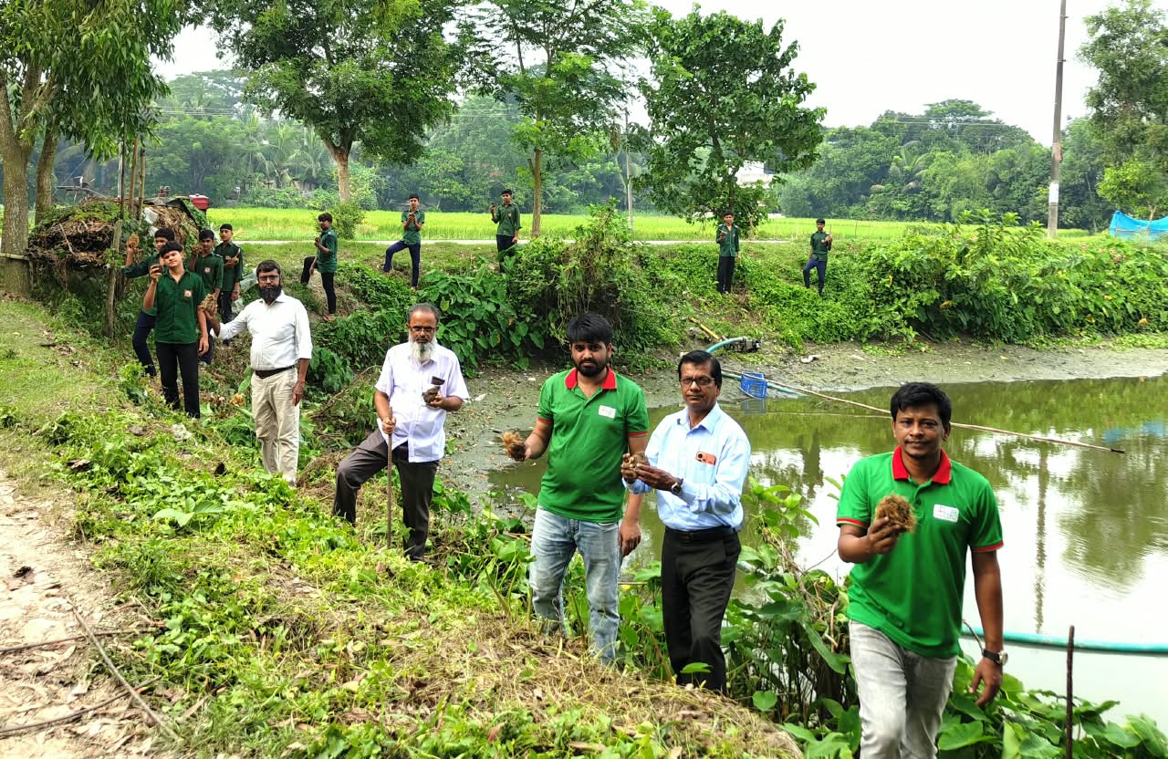 দাউদকান্দিতে বজ্রপাত রোধে তালবীজ রোপণ কর্মসূচি